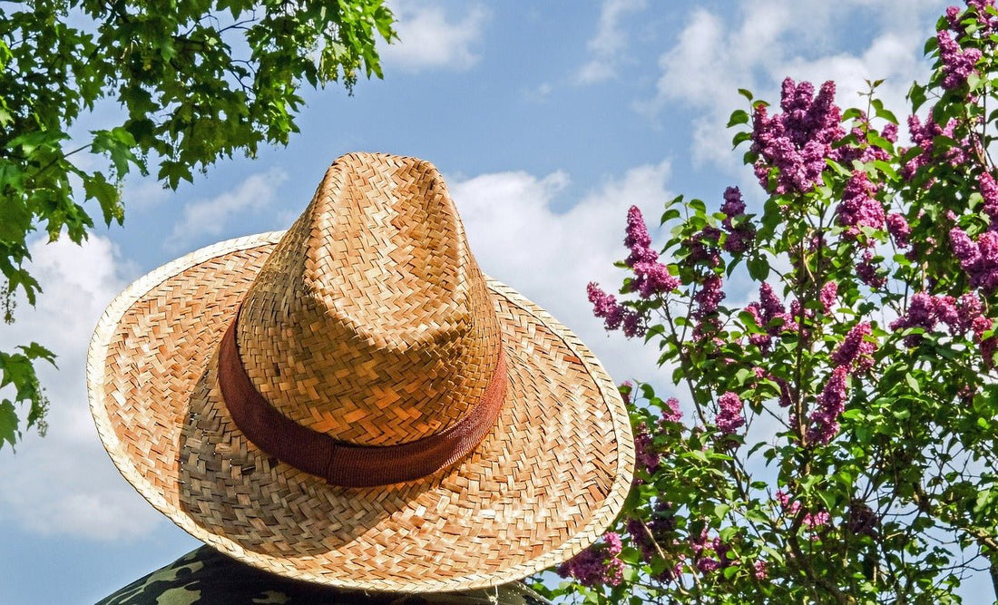 All About Raffia Straw Hats